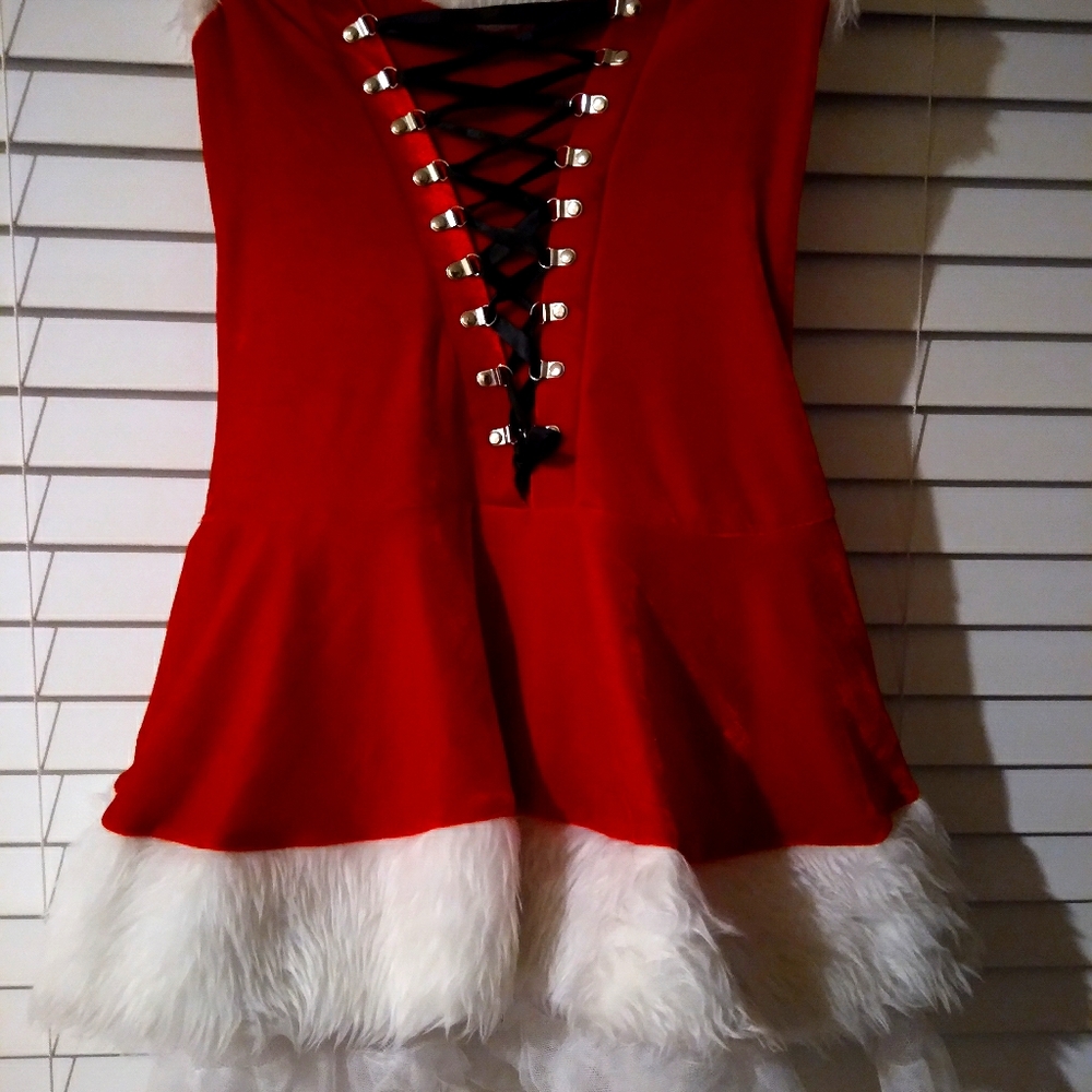 Ms clause outfit